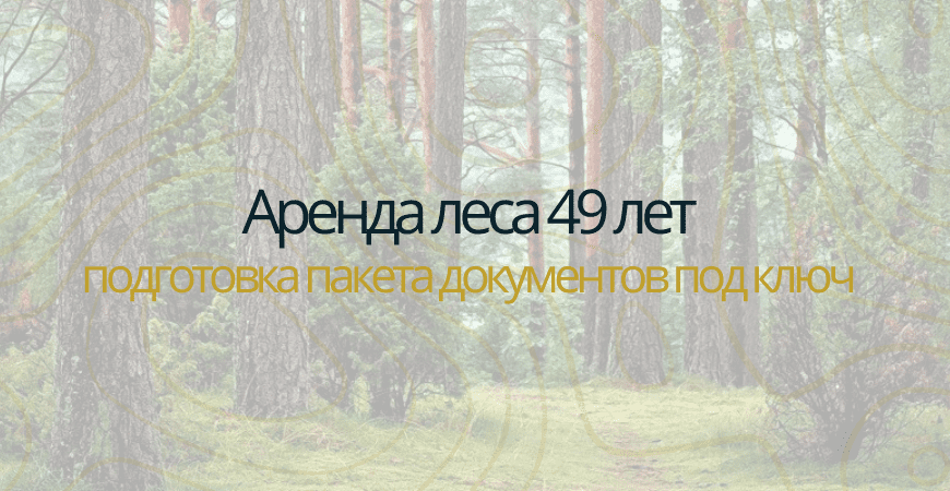 Аренда леса на 49 лет в Краснодаре